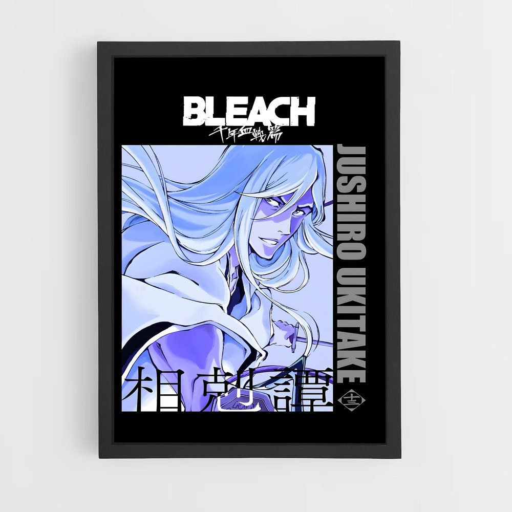 bleach-13 cadre Noir