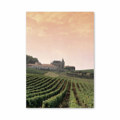 Poster Vignoble