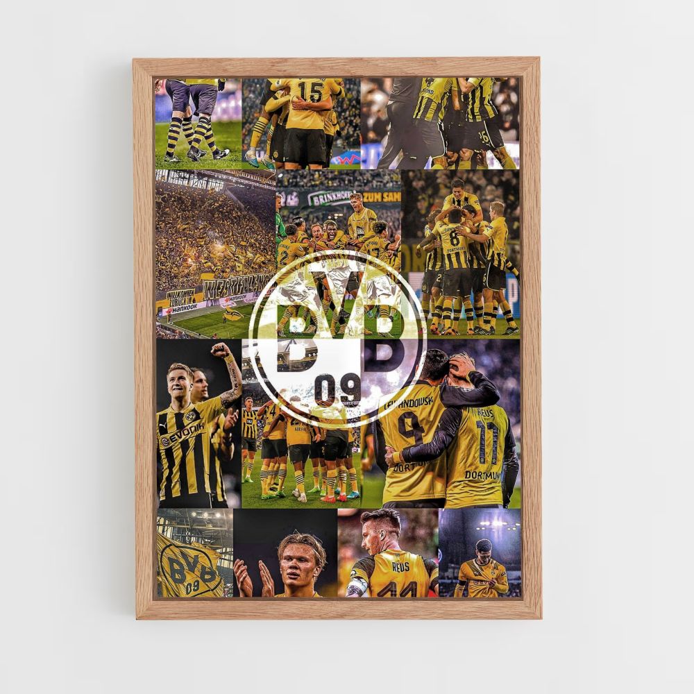 Poster BVB 09