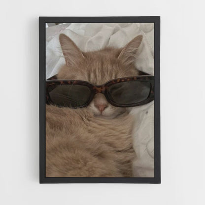 Poster Chat Lunettes