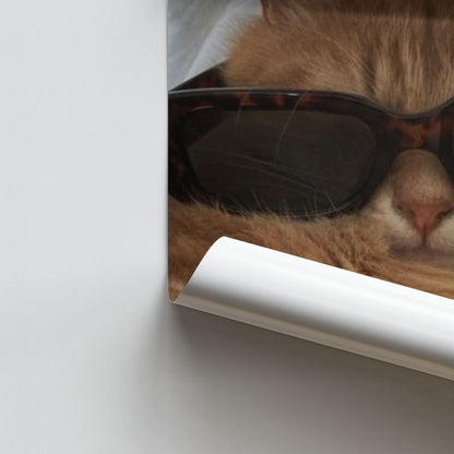 Poster Chat Lunettes