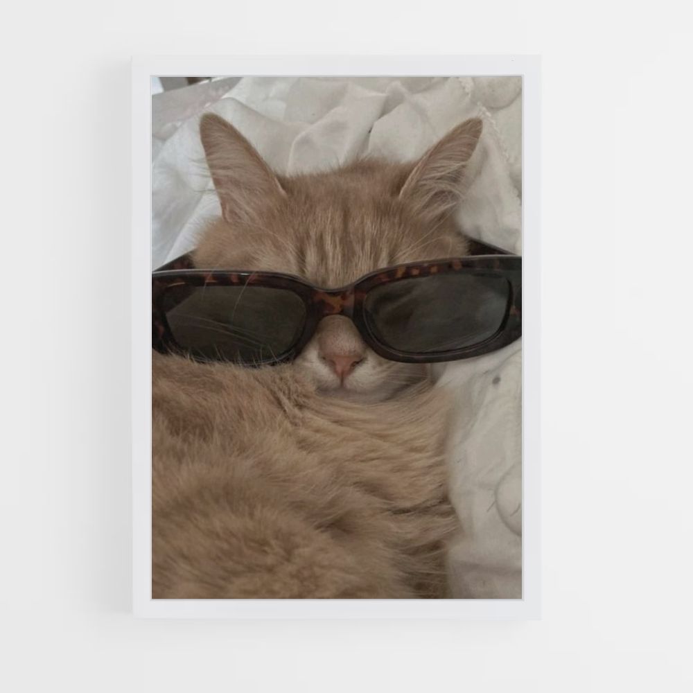 Poster Chat Lunettes