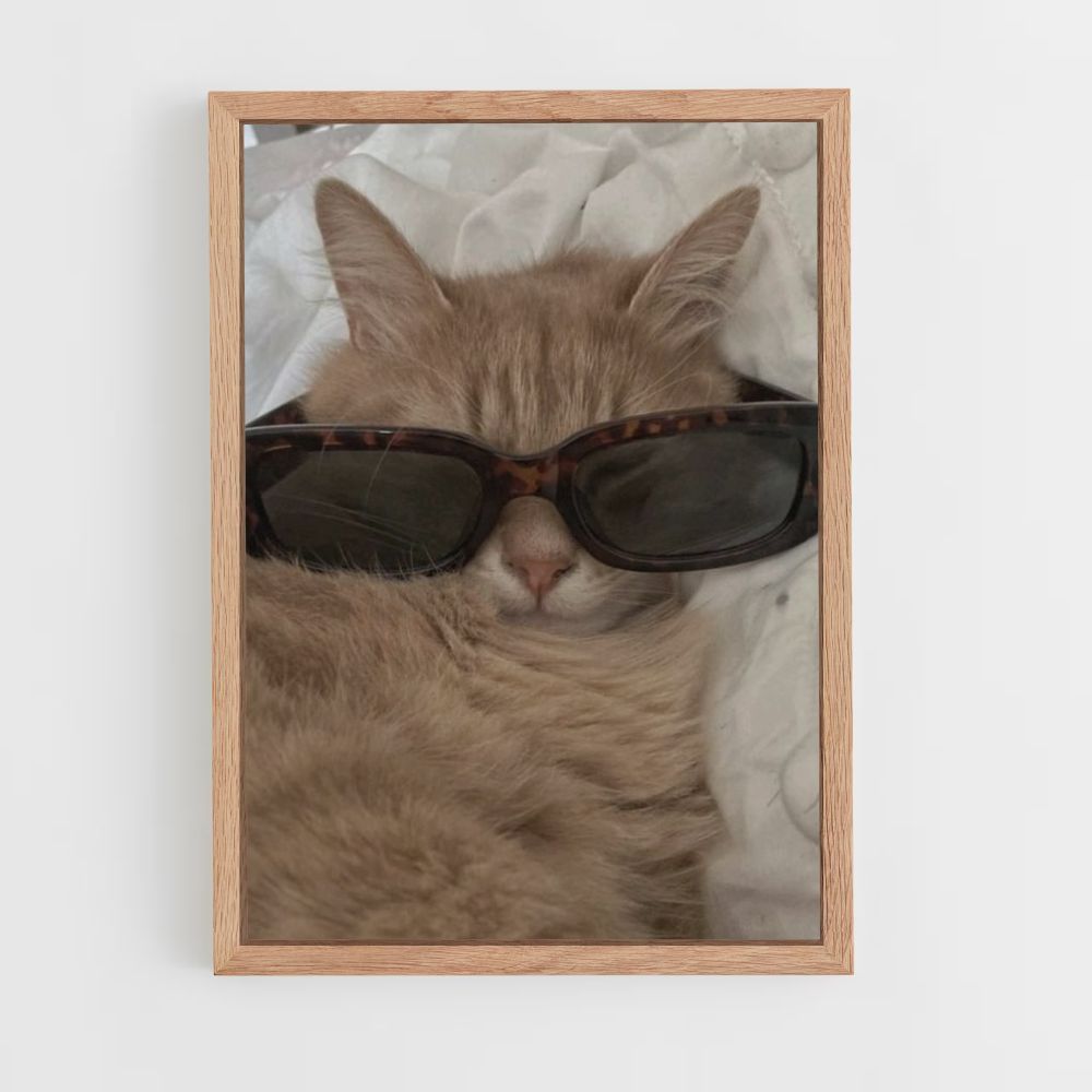 Poster Chat Lunettes