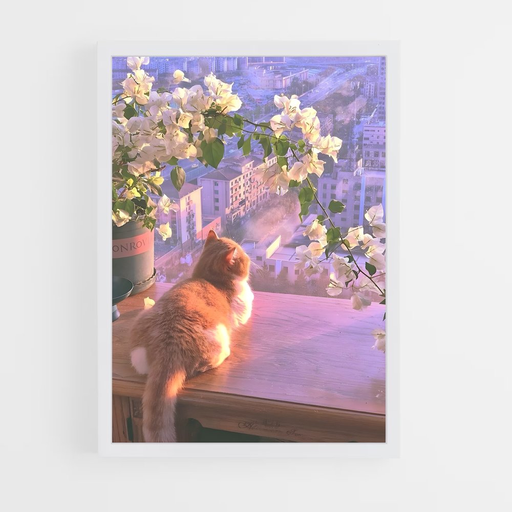 cat-10 cadre Blanc