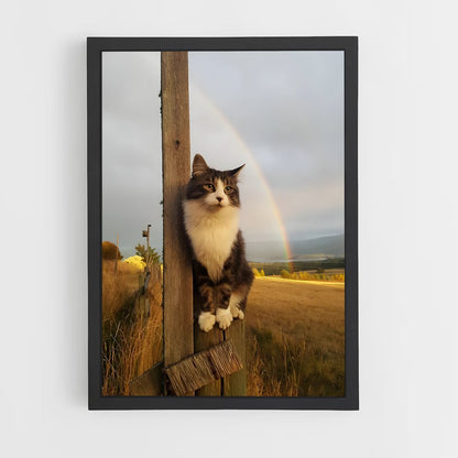 cat-4 cadre Noir