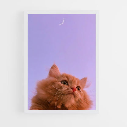 cat-5 cadre Blanc