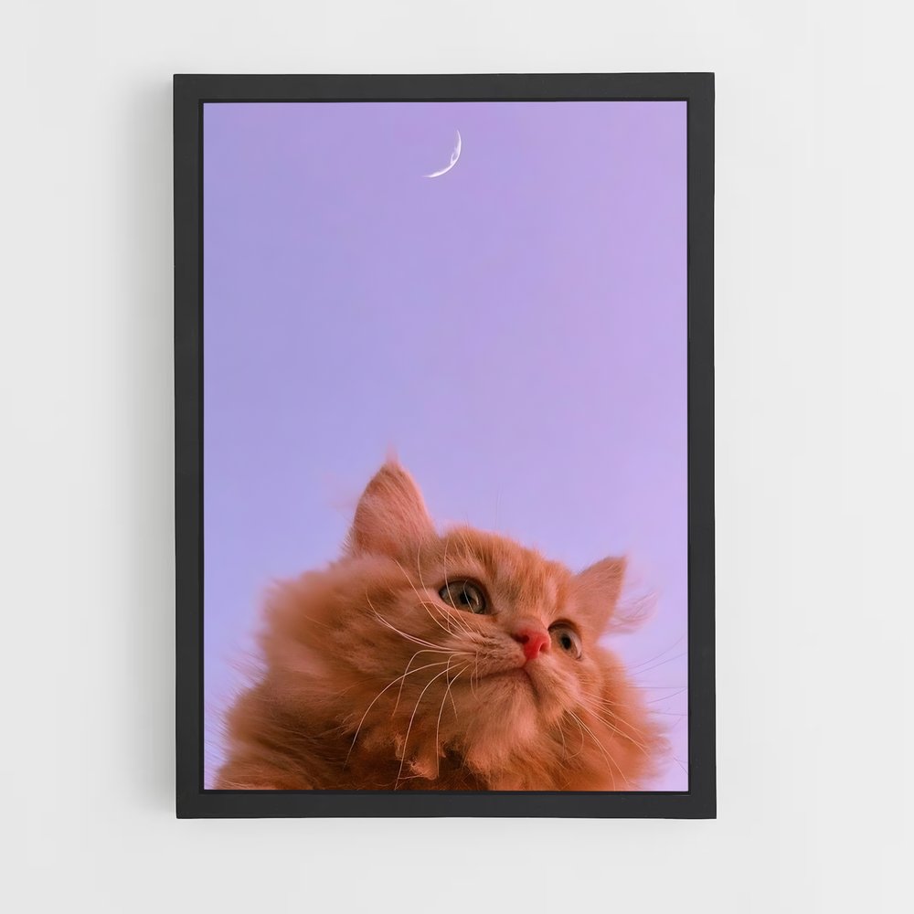 cat-5 cadre Noir