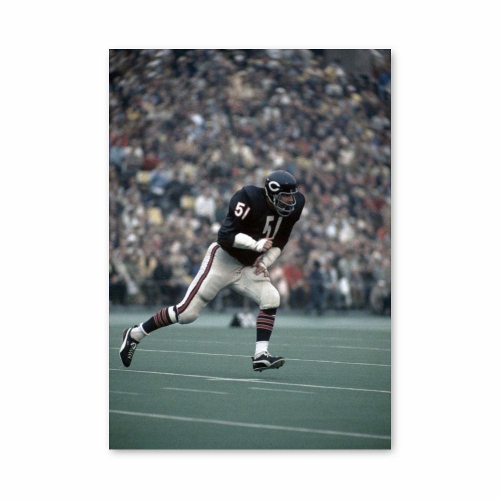 Poster Chicago Bears Course