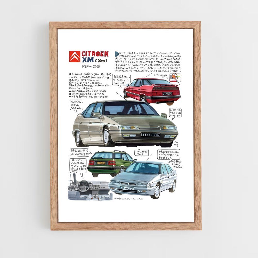 citroen-5 cadre Bois clair