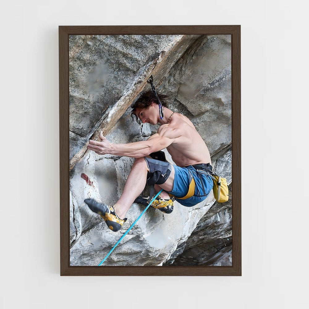 climb-7 cadre Bois foncé