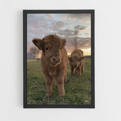 Poster Vache Mignonne