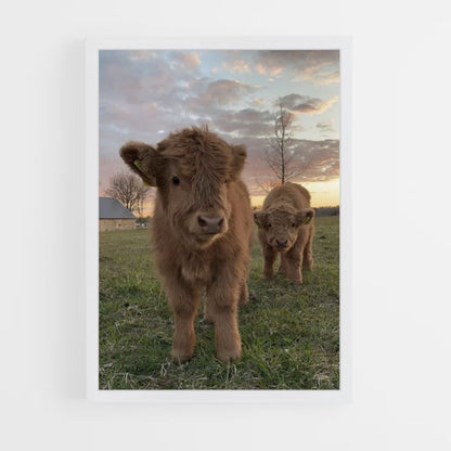 Poster Vache Mignonne