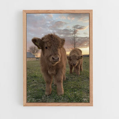 Poster Vache Mignonne