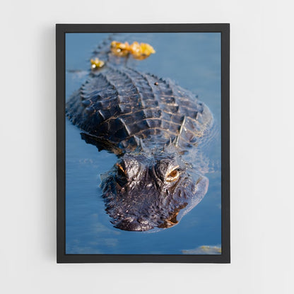 crocodile-11 cadre Noir