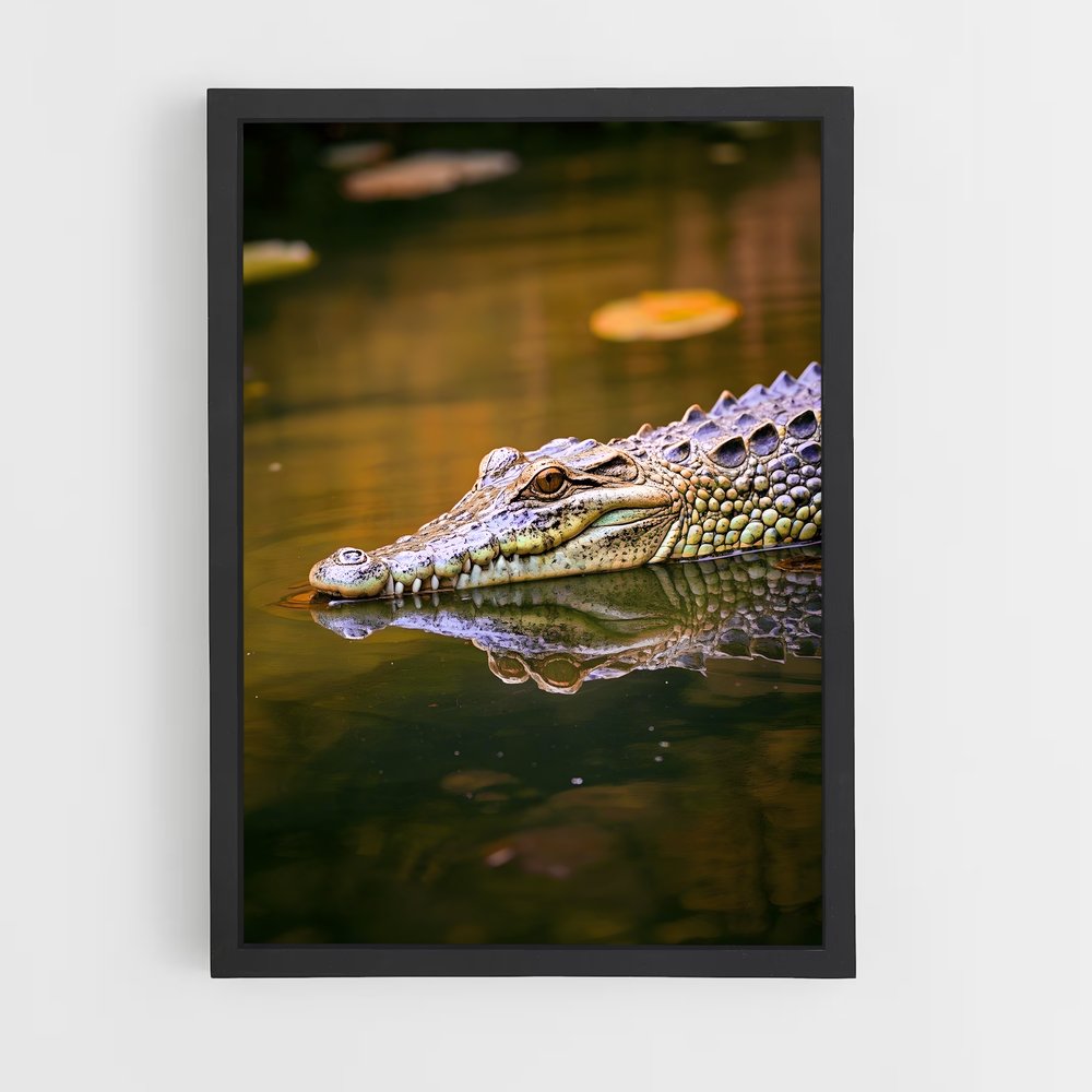 crocodile-2 cadre Noir