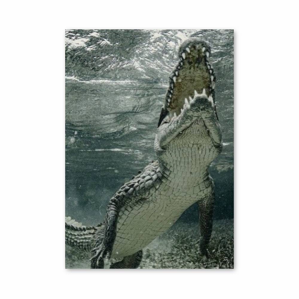 Poster Crocodile sous l'eau