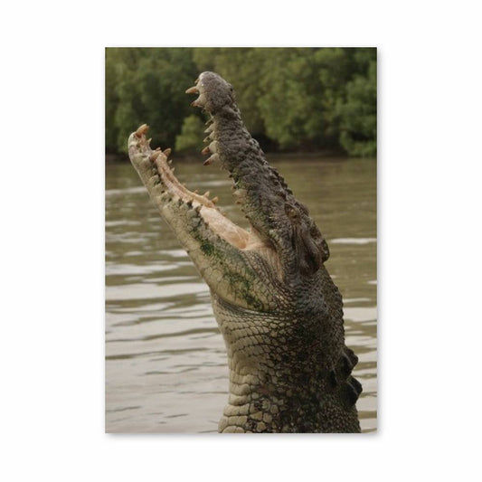 Poster Crocodile Bouche