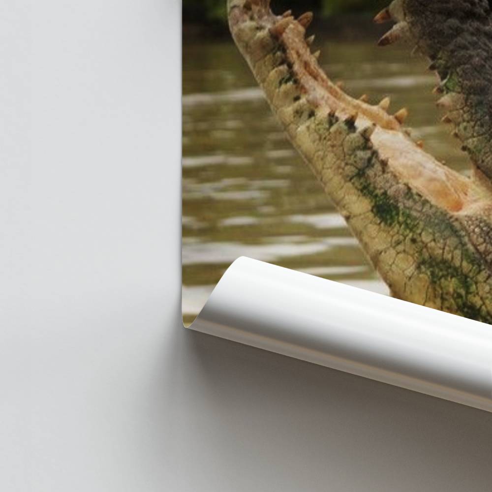 Poster Crocodile Bouche