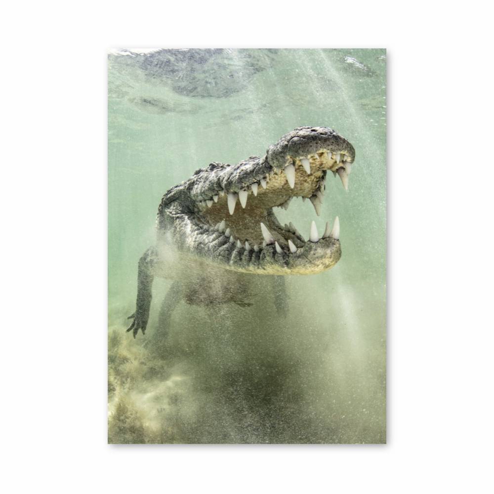 Poster Alligator Dents