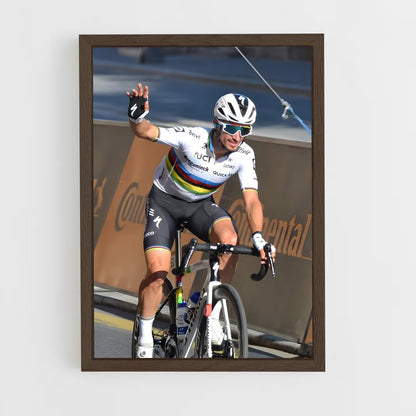 cyclism-12 cadre Bois foncé