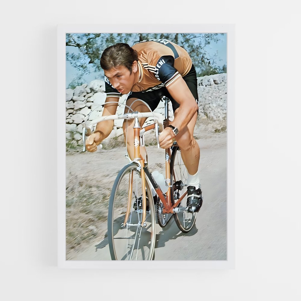 cyclism-13 cadre Blanc