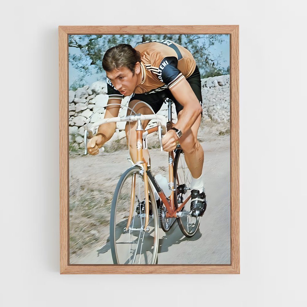 cyclism-13 cadre Bois clair