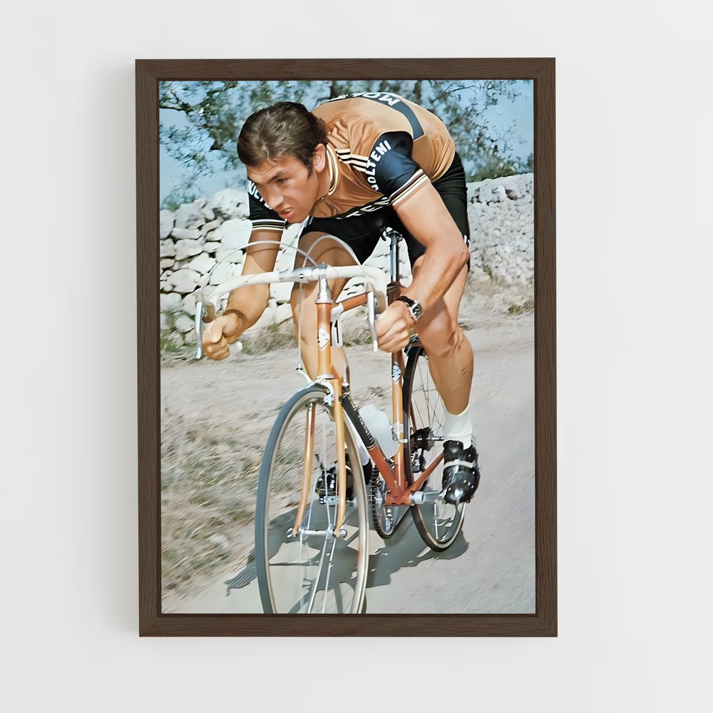 cyclism-13 cadre Bois foncé