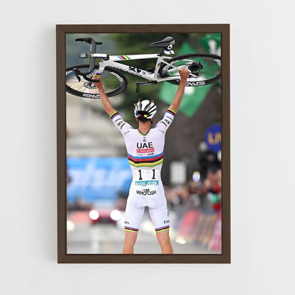 cyclism-5 cadre Bois foncé
