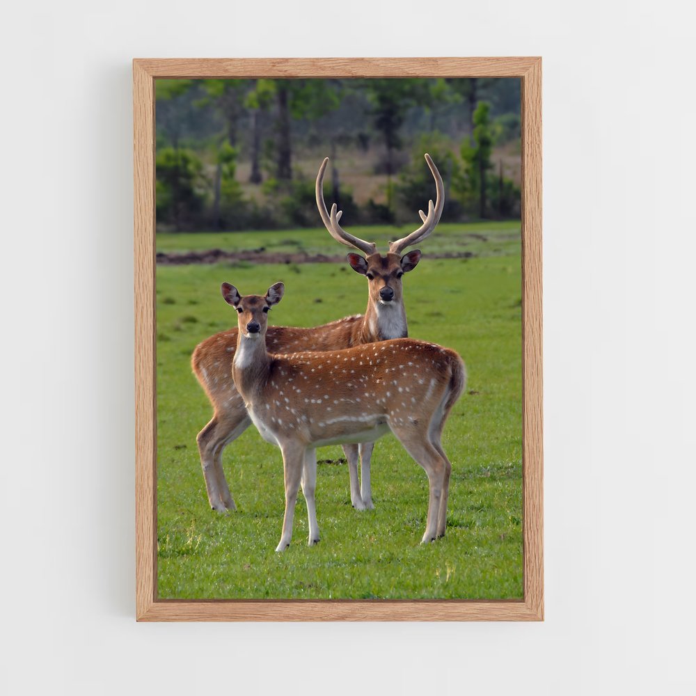 deer-2 cadre Bois clair