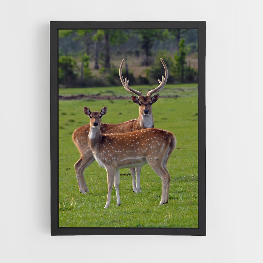 deer-2 cadre Noir
