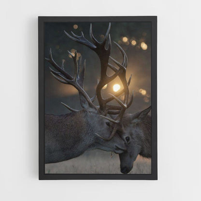 Poster Cerf Combat