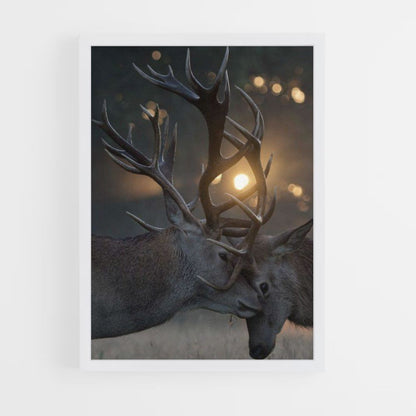 Poster Cerf Combat