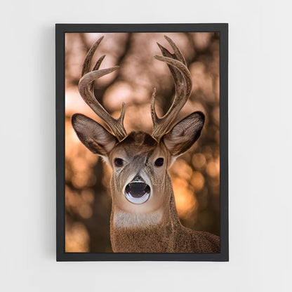 deer-5 cadre Noir
