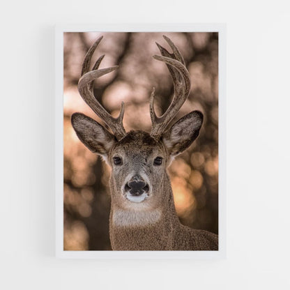 Poster Cerf Mignon