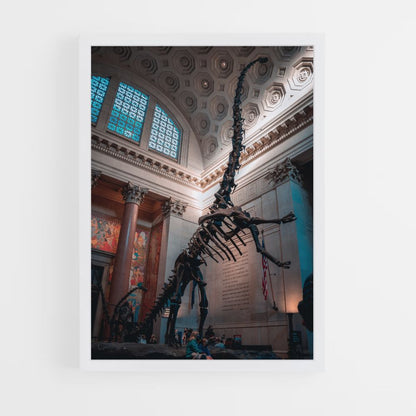 Poster Squelette Diplodocus