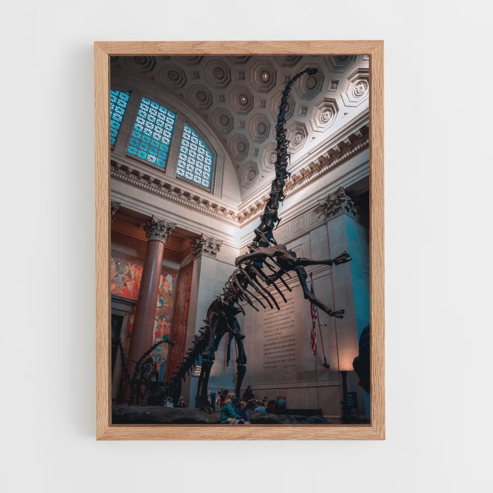 Poster Squelette Diplodocus