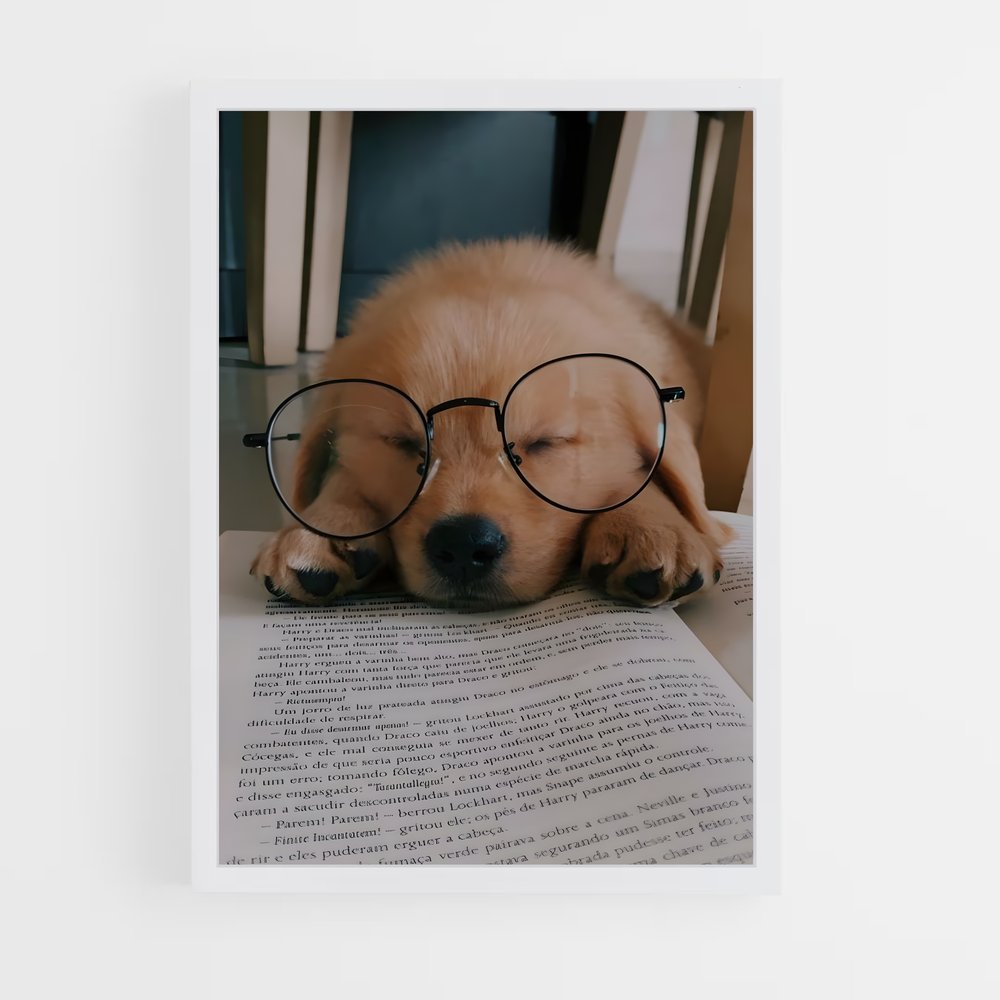 dog-2 cadre Blanc