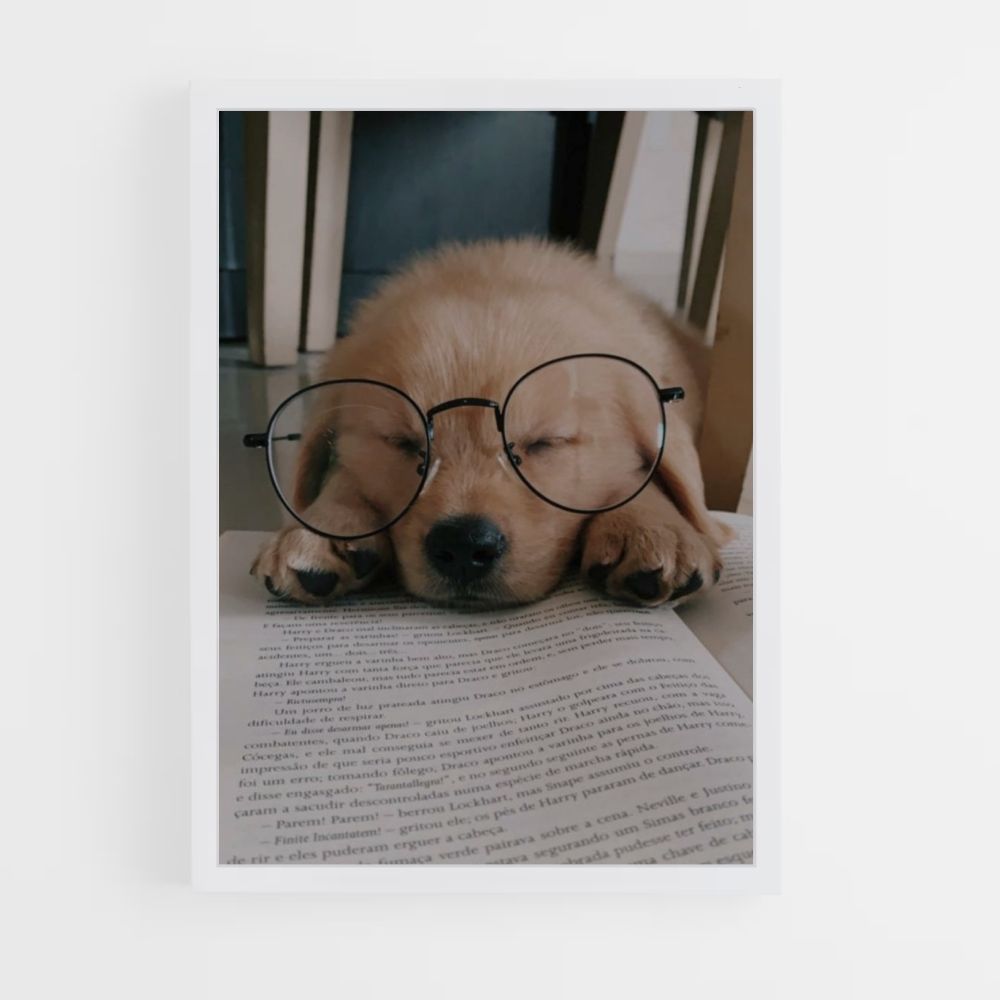 Poster Chien Lecture