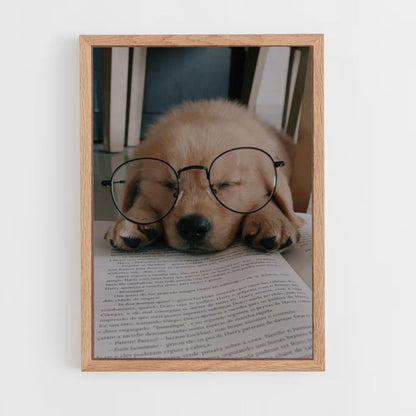 Poster Chien Lecture