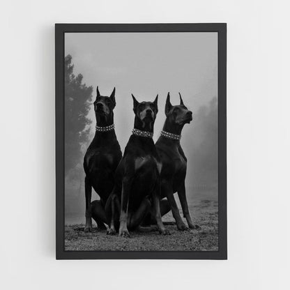 Poster Doberman