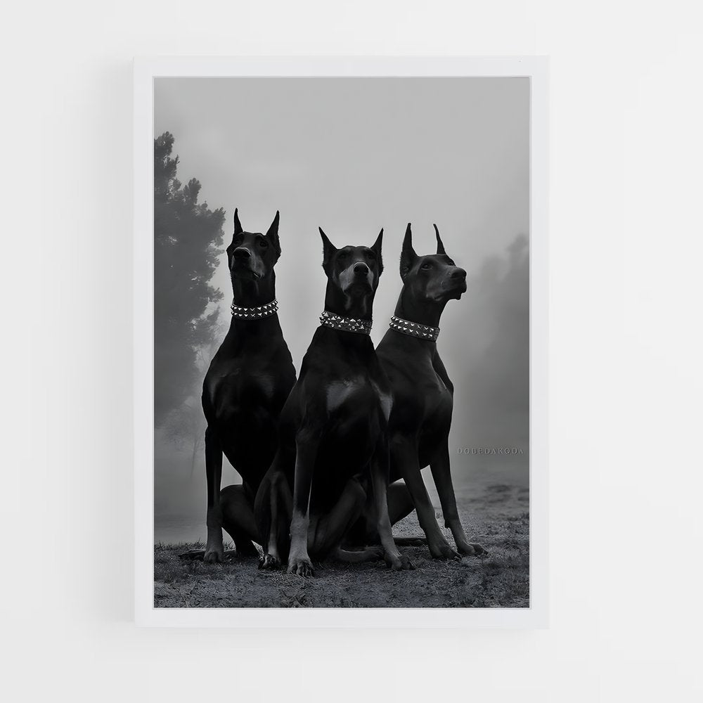 dog-3 cadre Blanc