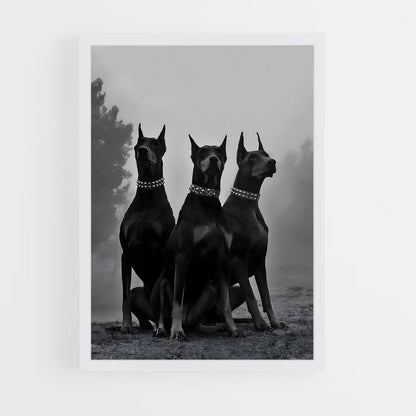 dog-3 cadre Blanc
