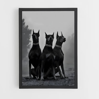 dog-3 cadre Noir