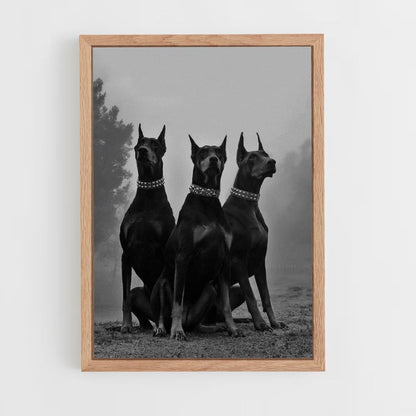 Poster Doberman