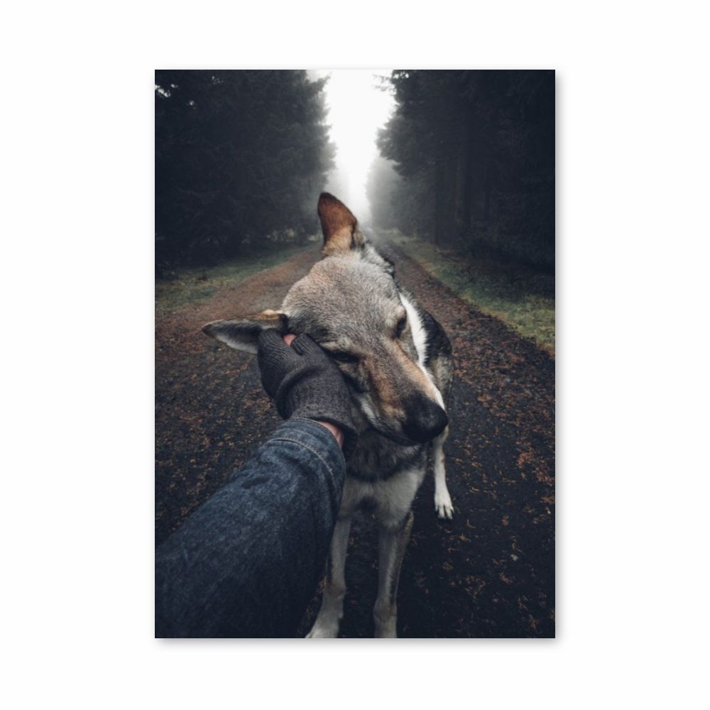 Poster Chien Forêt