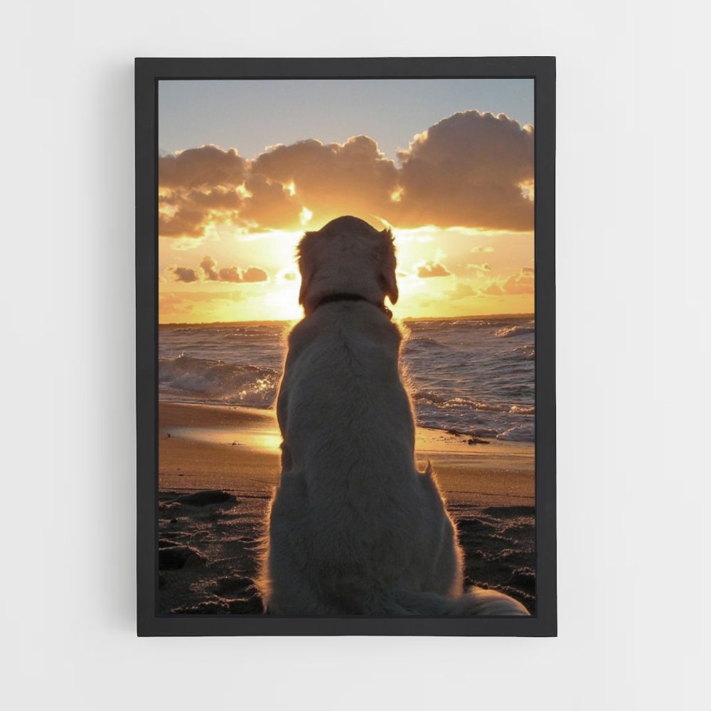 Poster Chien Plage