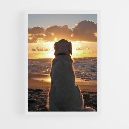 Poster Chien Plage