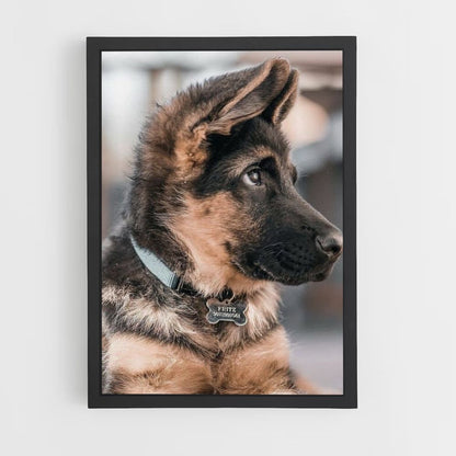 Poster Chien Adorable