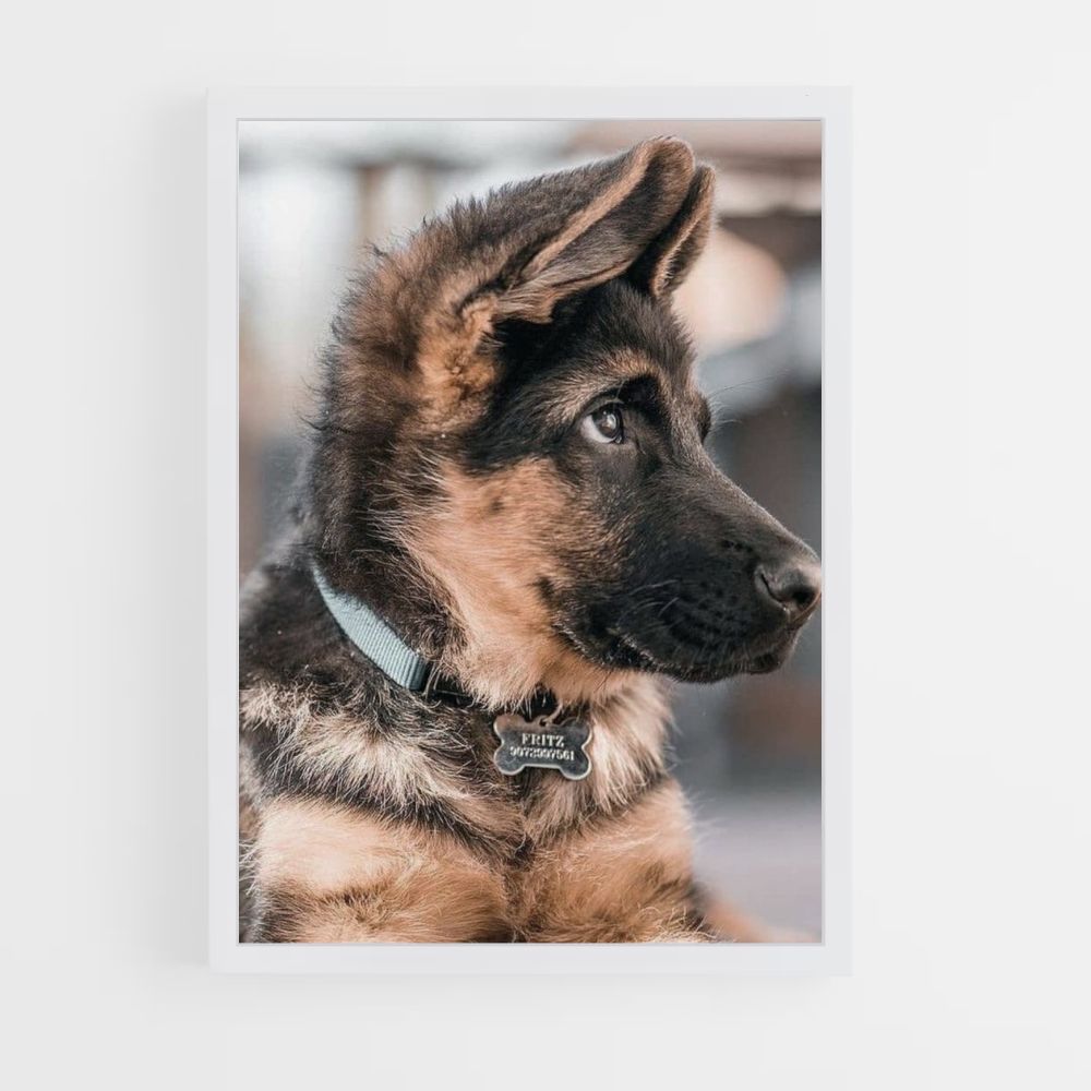 Poster Chien Adorable