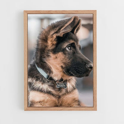 Poster Chien Adorable